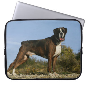 Stance för boxarehundShow Laptop Sleeve