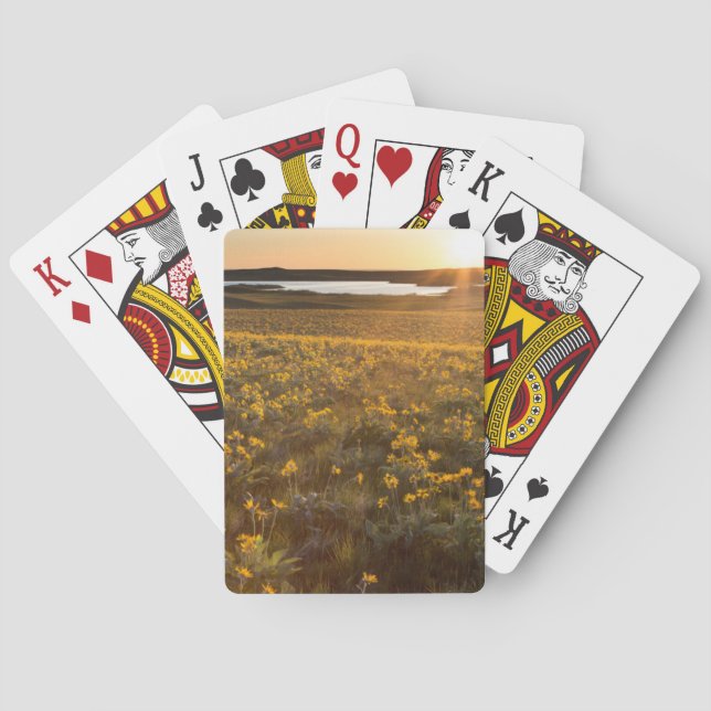 Stånd av vildblommor av Arrowleaf Balsamroot Spel Kort (Baksidan)