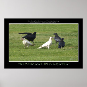 "STAND OUT" WHITE RAVENS Motivering Photo Print Poster