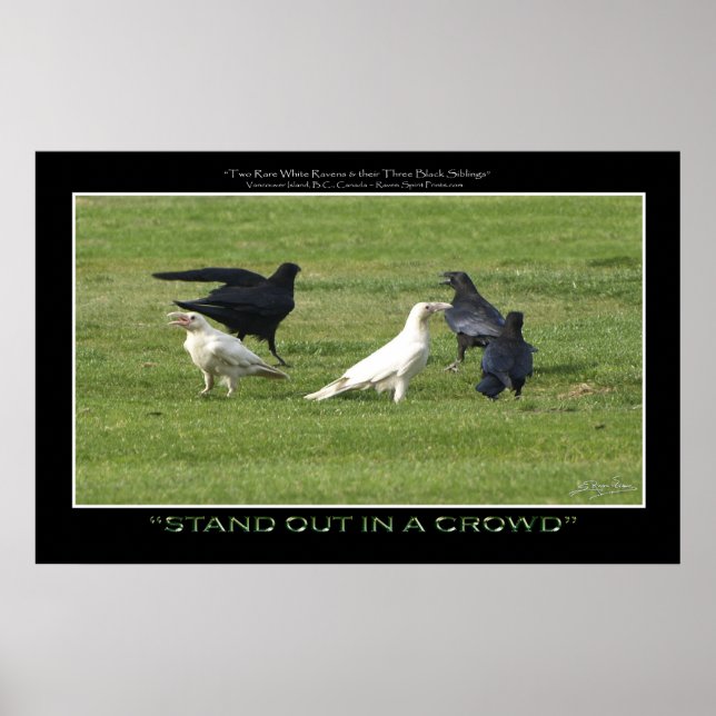 "STAND OUT" WHITE RAVENS Motivering Photo Print Poster (Framsidan)