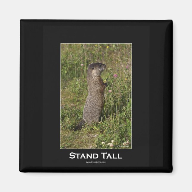 stand Tall Marmot Magnet (Framsidan)
