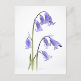 Standard, 12,7 cm x 17,8 cm, mappat gratulationsko vykort