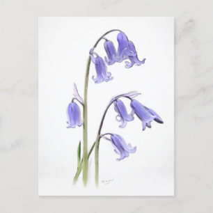 Standard, 12,7 cm x 17,8 cm, mappat gratulationsko vykort