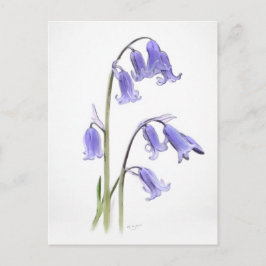 Standard, 12,7 cm x 17,8 cm, mappat gratulationsko vykort