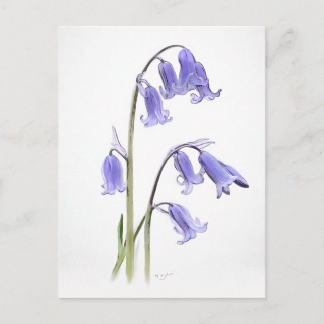 Standard, 12,7 cm x 17,8 cm, mappat gratulationsko vykort (Framsida)