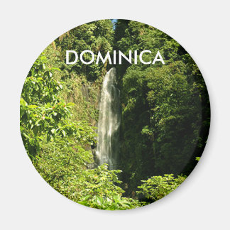 Standard, 2,4-tums runda magnet