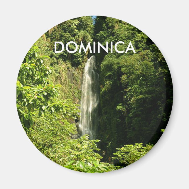 Standard, 2,4-tums runda magnet (Framsidan)