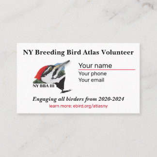 Standard, 3,5 tum x 2,0 tum Affärskort Visitkort