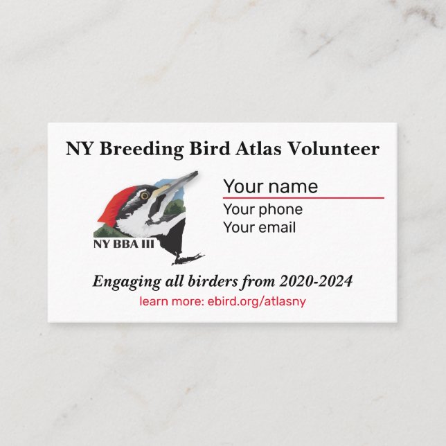 Standard, 3,5 tum x 2,0 tum Affärskort Visitkort (Framsida)