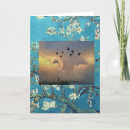 Standard, 5 x 7-tums mappat gratulationskort kort