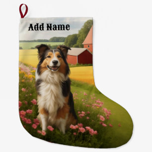 Standard Collie on Farm Stor Julstrumpa
