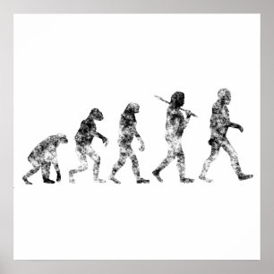 Standard evolution - moln poster
