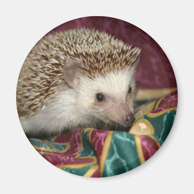 Standard hh magnet (Framsidan)