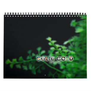 Standard kalender för guldfisk för FAST GULD fö
