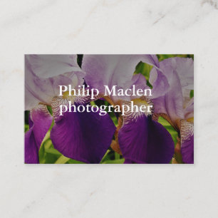 Standard Matte för purpurfärgat Irisblommafoto Visitkort