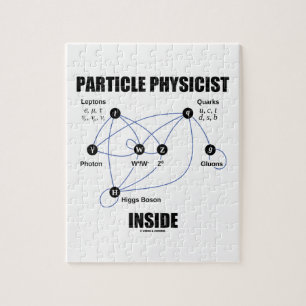 Standard partikelfysikerinsida (modellera Higgs), Pussel