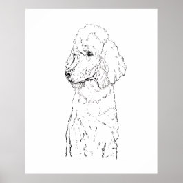 Standard Poodle Hund Illustration - Bläckkonst Poster
