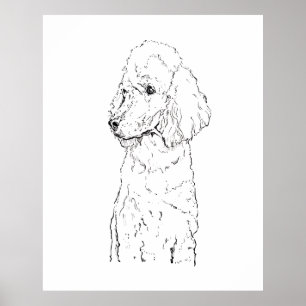 Standard Poodle Hund Illustration - Bläckkonst Poster