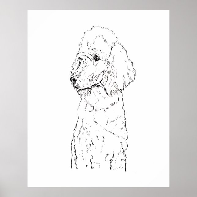 Standard Poodle Hund Illustration - Bläckkonst Poster (Framsidan)