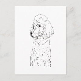 Standard Poodle Hund Illustration - Bläckkonst Vykort
