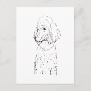 Standard Poodle Hund Illustration - Bläckkonst Vykort