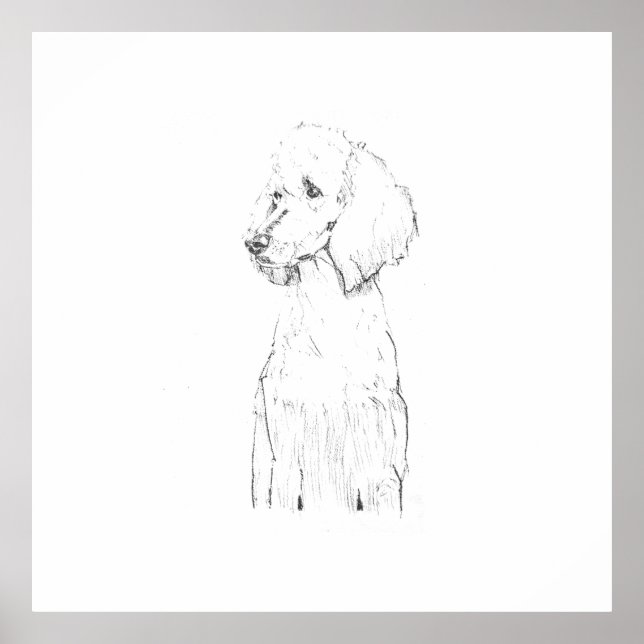 Standard Poodle Hund Illustration  Poster (Framsidan)