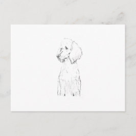 Standard Poodle Hund Illustration Vykort