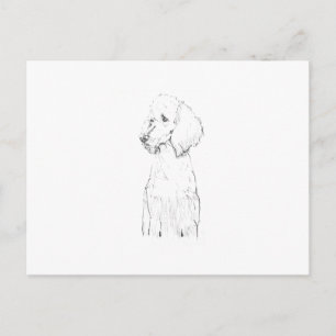 Standard Poodle Hund Illustration Vykort