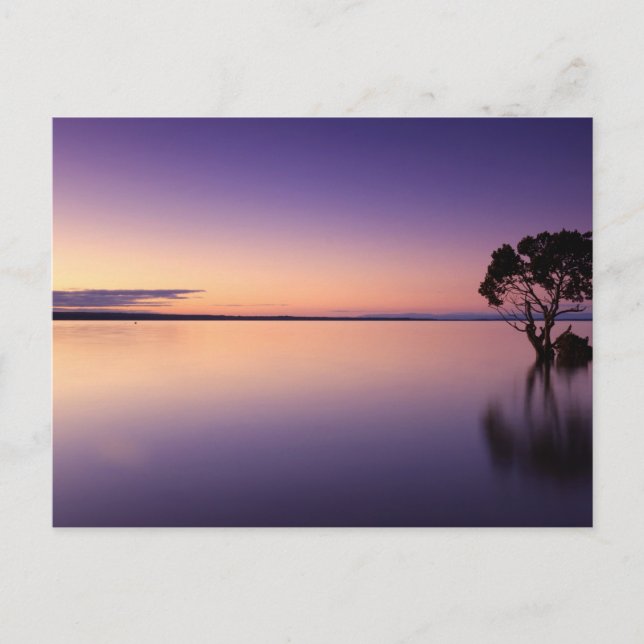 Standard Postcard Vykort (Framsida)