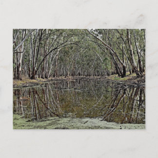 Standard postcard vykort