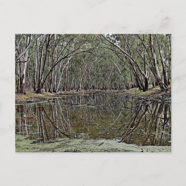 Standard postcard vykort (Framsida)