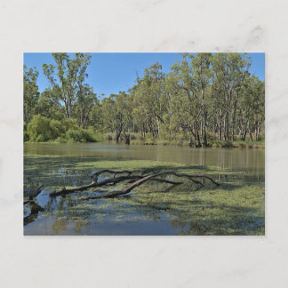 Standard postcard vykort