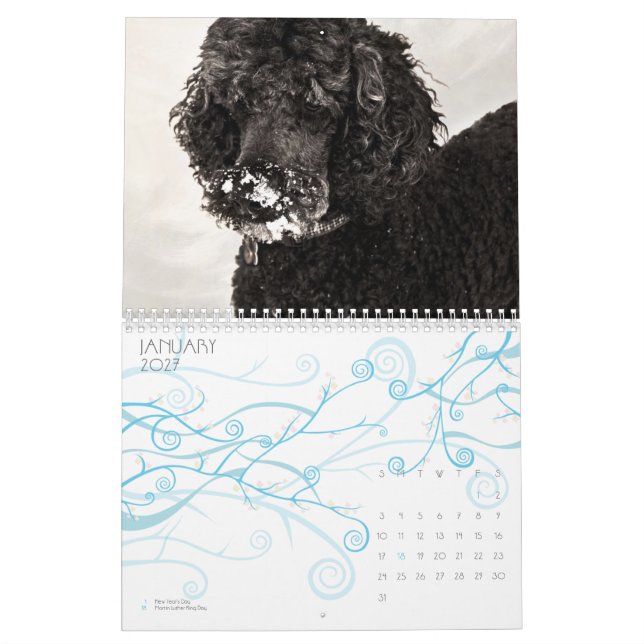Standard pudel 2010 kalender (Jan 2027)