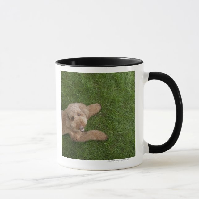 standard pudel 2 mugg (Höger)
