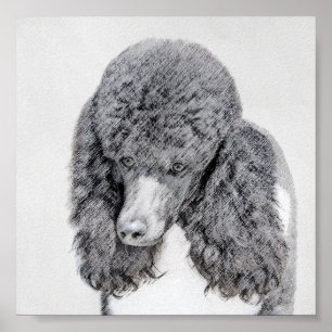 Standard Pudel Black Parti-målning - Hund Art Poster