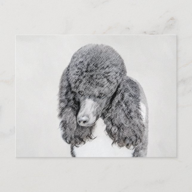 Standard Pudel Black Parti-målning - Hund Art Vykort (Framsida)