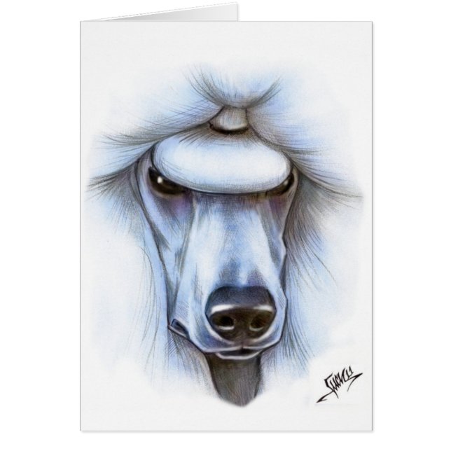 Standard pudel för vit hälsningskort (Framsidan)