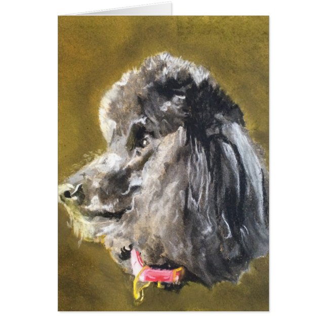 Standard pudel hälsningskort (Framsidan)