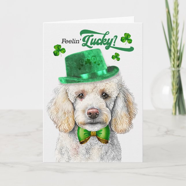 Standard Pudel Hund Feelin' Lucky St patrick's day Helgkort (Framsida)