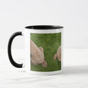 standard pudel mugg