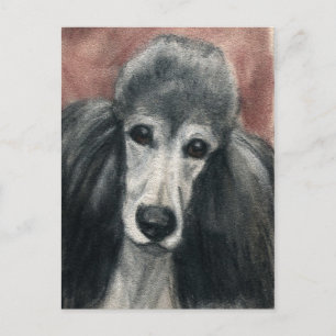 Standard Pudel Original Hund Art-vykort Vykort