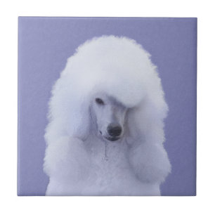 Standard Pudel White Painting - Original Hund Art Kakelplatta