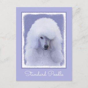 Standard Pudel White Painting - Original Hund Art Vykort