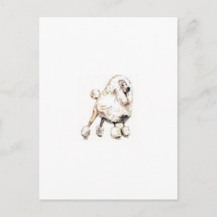 Standard Pudel White Vykort