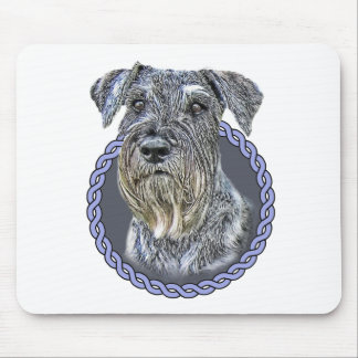 Standard Schnauzer 001 Musmatta