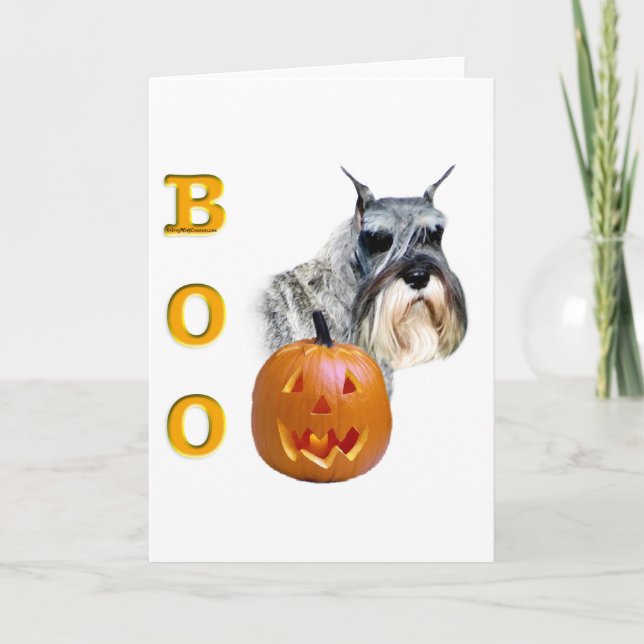 Standard Schnauzer Boo Kort (Framsida)