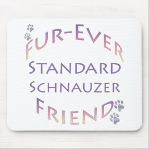 Standard Schnauzer Furever Friend Musmatta