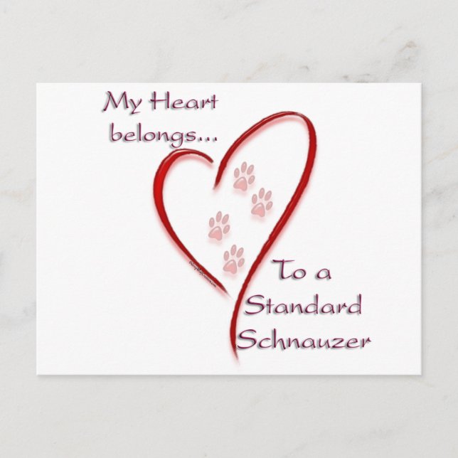 Standard Schnauzer Heart-Tillhör Vykort (Framsida)
