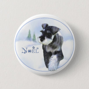 Standard Schnauzer Noel Knapp