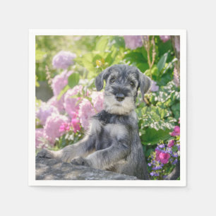 Standard Schnauzer Puppy i en Blommar Garden - Pappersservett